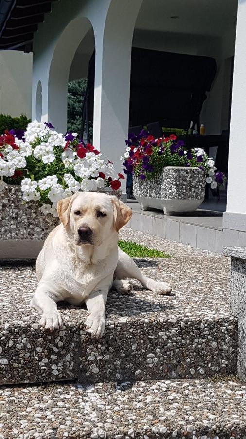 Ferienwohnung Casa Manuela Tra Bellinzona Locarno E Lugano Cadenazzo Exterior foto